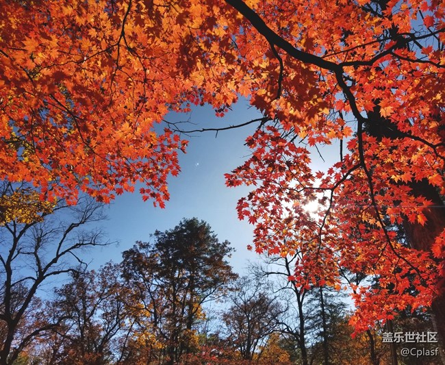 東北大區(qū)之長白山“折學之旅”線下招募