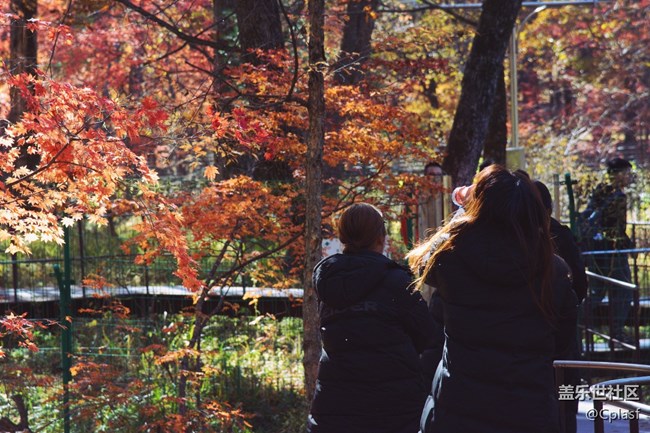 東北大區(qū)之長白山“折學之旅”線下招募