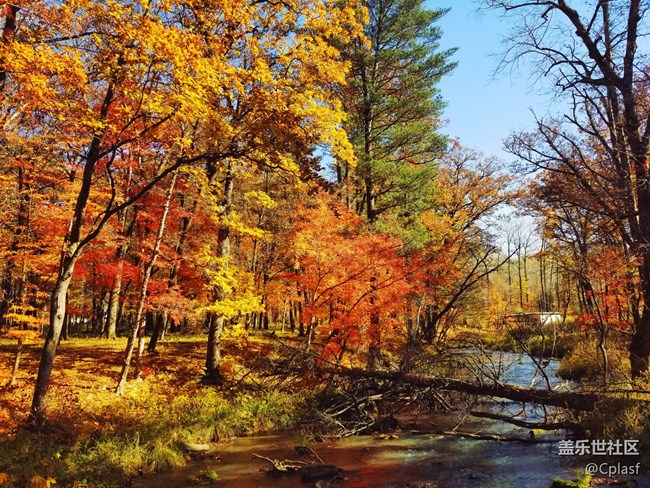 東北大區(qū)之長白山“折學之旅”線下招募