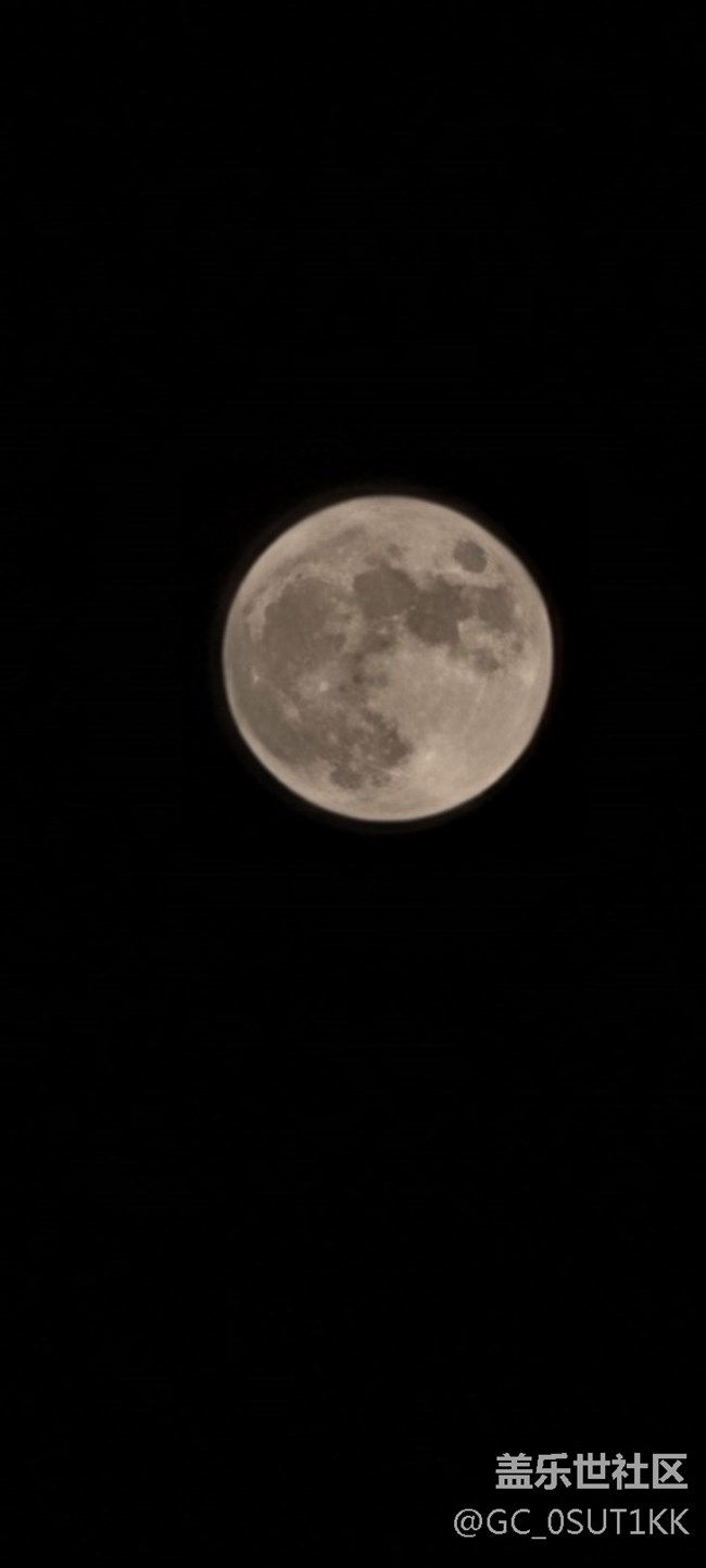 一度一歲月，一輪一歡慶