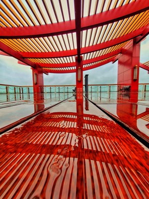 【我的小長(zhǎng)假】運(yùn)河森林公園