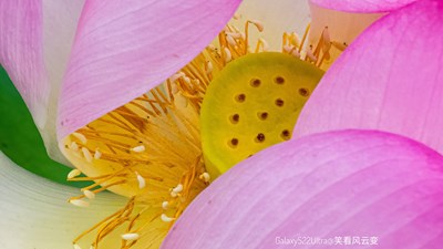 Galaxy S22Ultra  荷  (二）