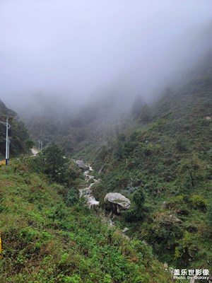 秦嶺雨中漫步
