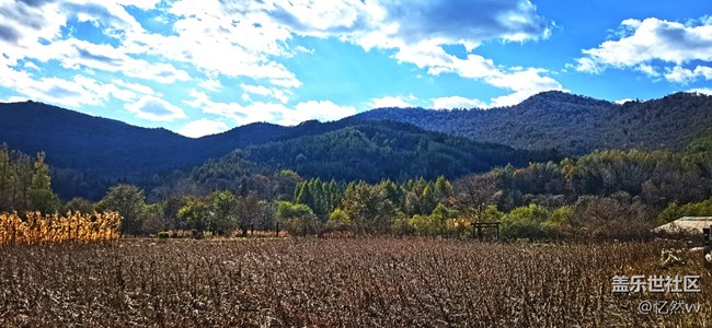 【金秋十月】+秋游