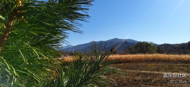 【金秋十月】+秋游