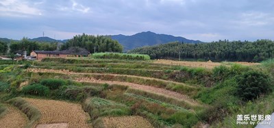 農(nóng)村