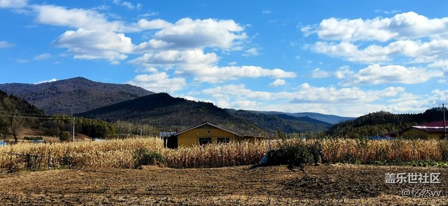 【金秋十月】+秋游