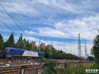 城市綠茵一角