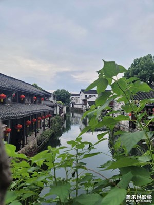 【我的小長假】+江南水鄉(xiāng)一日游