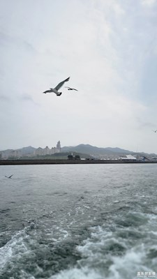 雨中劉公島-2