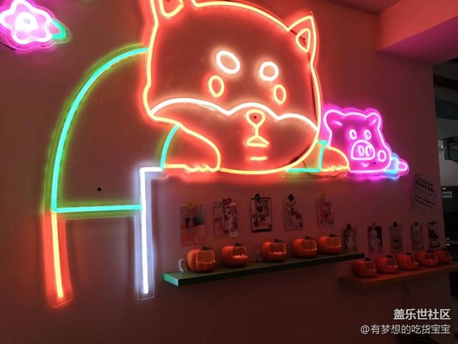 沈陽(yáng)星部落擼狗攝影&聚餐回顧貼 沈陽(yáng)星部落擼狗攝影&聚餐回顧貼