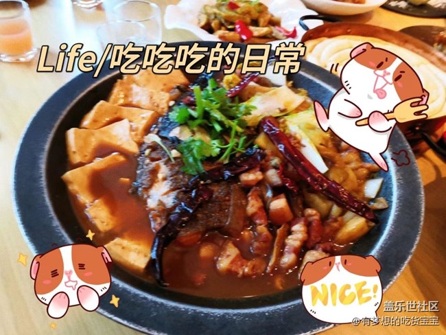 沈陽(yáng)星部落擼狗攝影&聚餐回顧貼 沈陽(yáng)星部落擼狗攝影&聚餐回顧貼