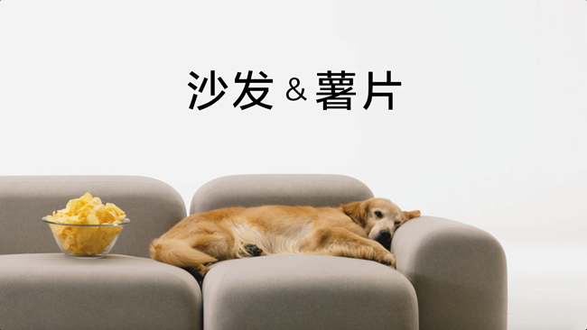 沙发+薯片=熟睡修狗