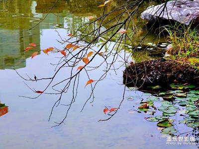 【秋意正濃】+泉湖秋韻