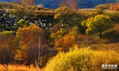 [秋意正濃]——烏蘭布統(tǒng)隨拍