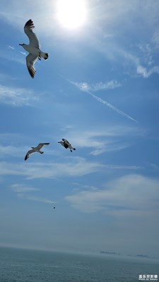 蓬萊行-2