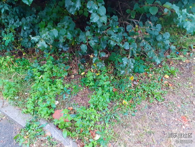 【向往】綠色生活