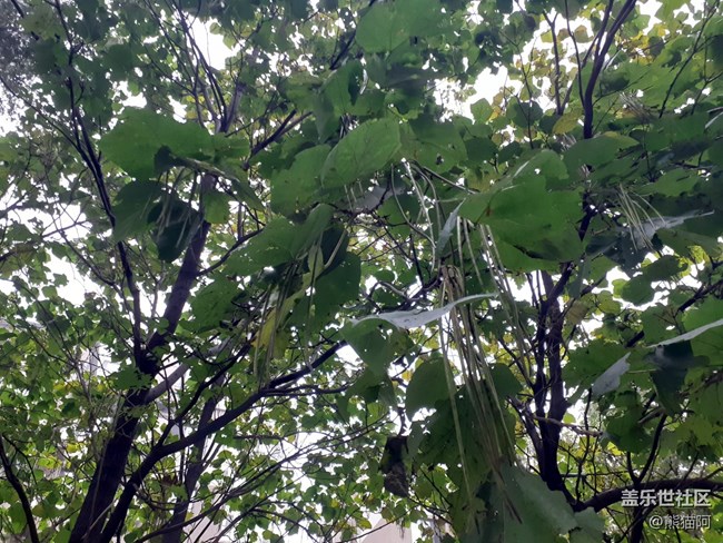 【向往】綠色生活