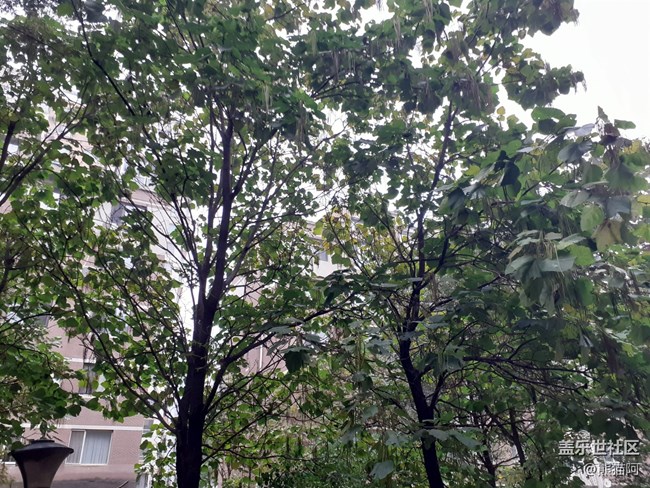 【向往】綠色生活