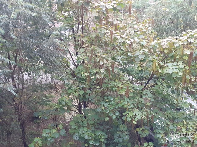 【向往】綠色生活