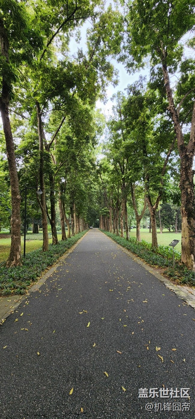 發(fā)點S22ULTRA的樣張。。。囧