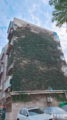 夏天屋里一定涼快