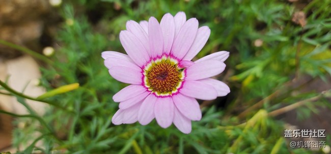 發(fā)點S22ULTRA的樣張。。。囧