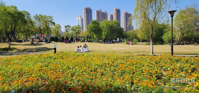 找個圖來發(fā)帖。