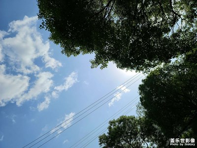 隨手拍