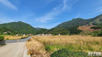 風(fēng)景