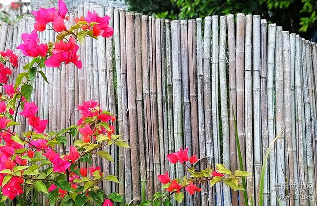 [色彩構(gòu)成]——隨拍