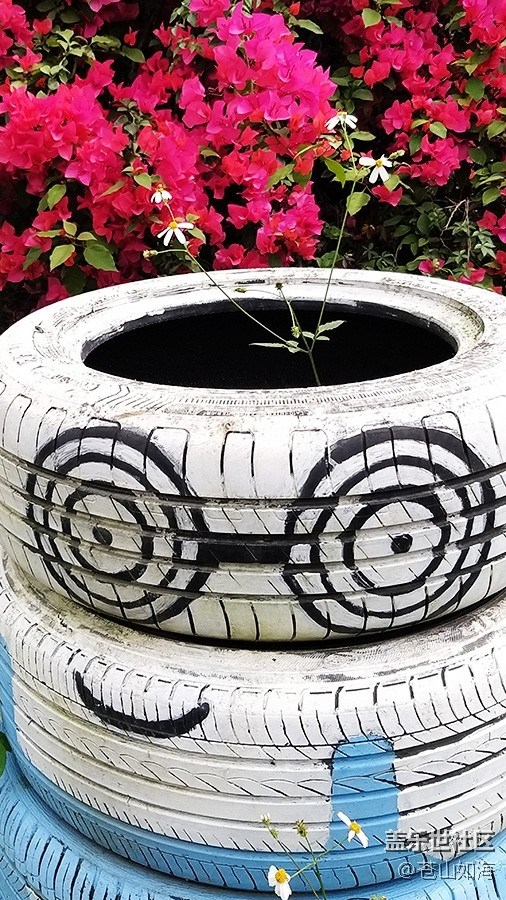 [色彩構(gòu)成]——隨拍