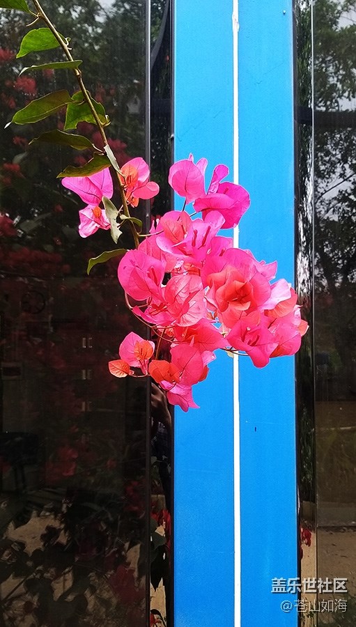 [色彩構(gòu)成]——隨拍