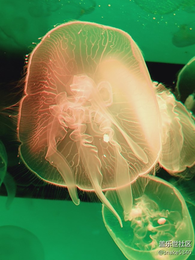 【色彩構(gòu)成】+彩色“裙子”