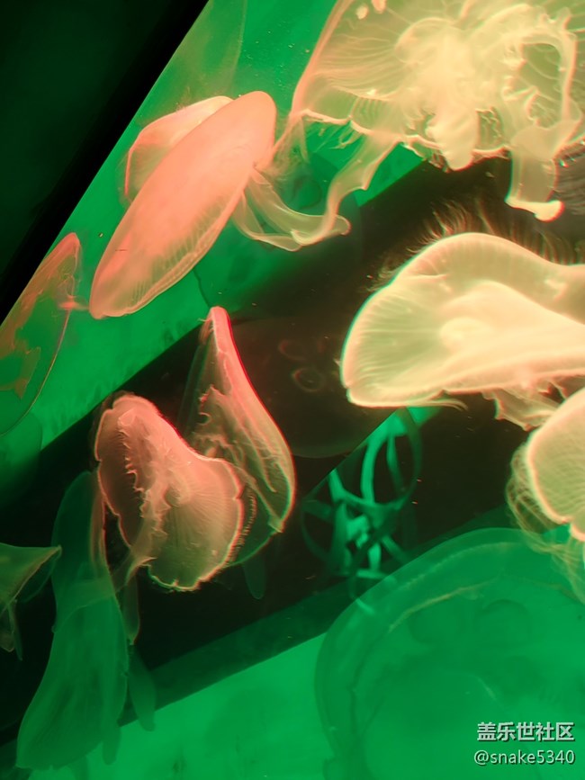 【色彩構(gòu)成】+彩色“裙子”