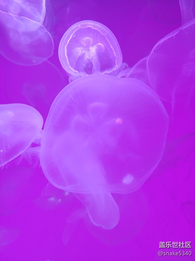 【色彩構(gòu)成】+彩色“裙子”