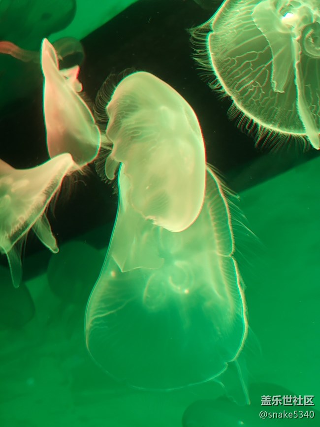 【色彩構(gòu)成】+彩色“裙子”