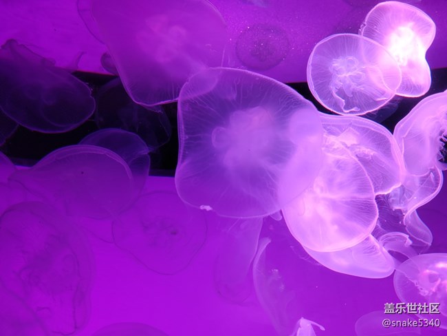 【色彩構(gòu)成】+彩色“裙子”