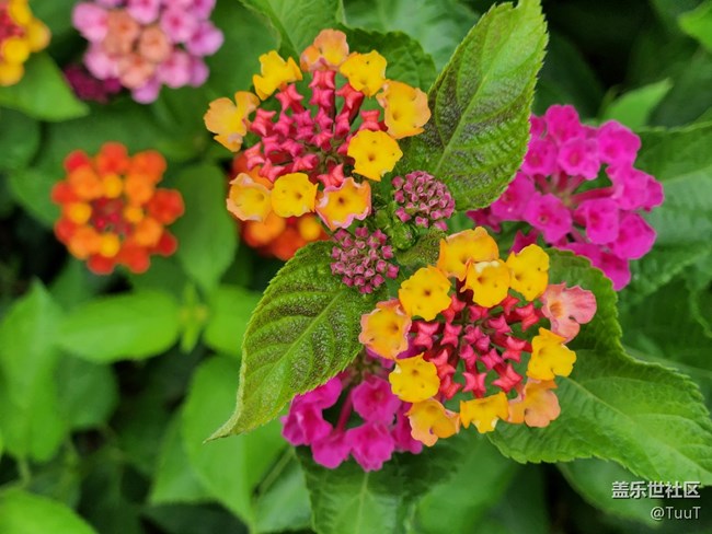 【十一趣事】+周邊游