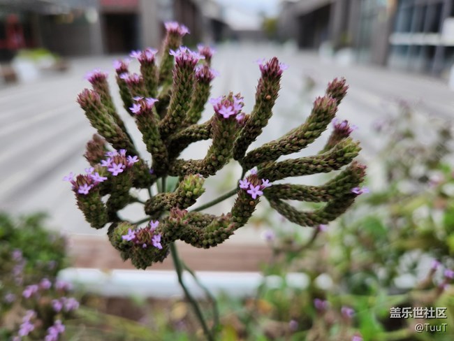 【十一趣事】+周邊游