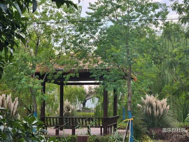 【十一趣事】+周邊游