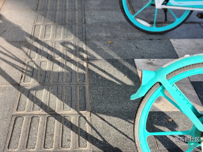 【十一趣事】+隨拍