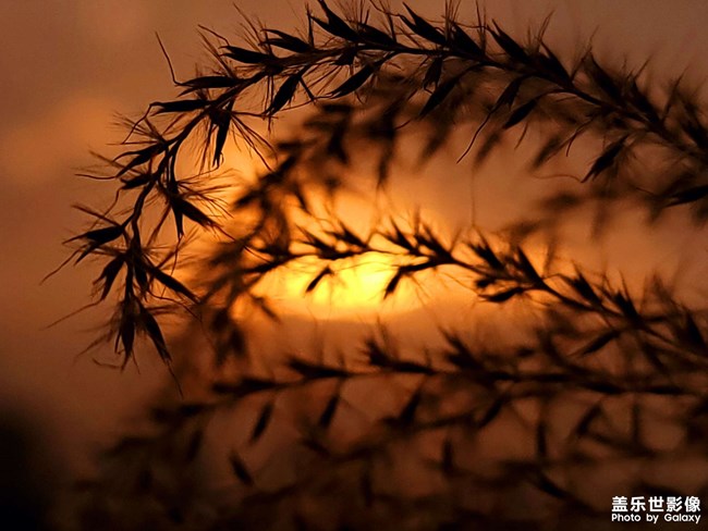 《每周星鮮事》 第123期:三星W23|W23 Flip新品預售 火熱開啟