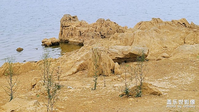 《每周星鮮事》 第123期:三星W23|W23 Flip新品預售 火熱開啟