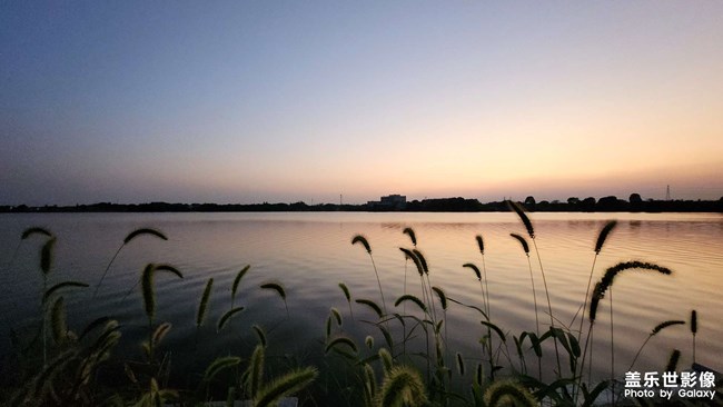 《每周星鮮事》 第123期:三星W23|W23 Flip新品預售 火熱開啟