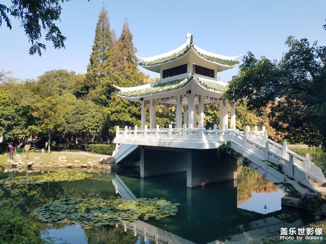 《每周星鮮事》 第123期:三星W23|W23 Flip新品預售 火熱開啟