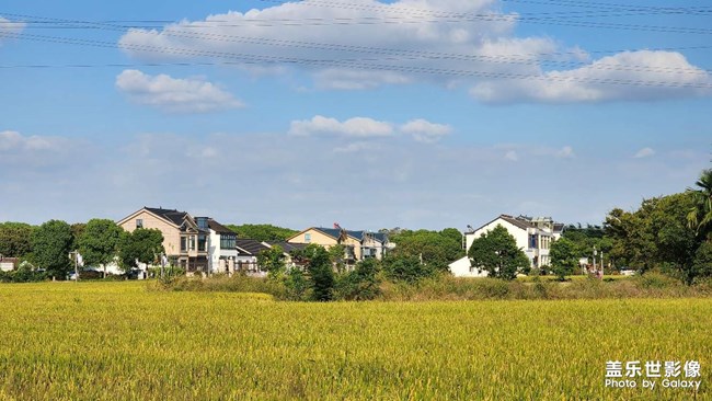 《每周星鮮事》 第123期:三星W23|W23 Flip新品預售 火熱開啟