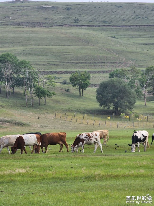 《每周星鮮事》 第123期:三星W23|W23 Flip新品預售 火熱開啟