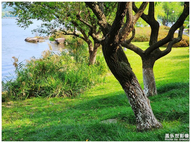 《每周星鮮事》 第123期:三星W23|W23 Flip新品預售 火熱開啟