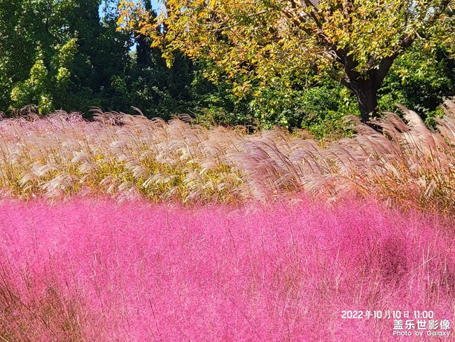 《每周星鮮事》 第123期:三星W23|W23 Flip新品預售 火熱開啟